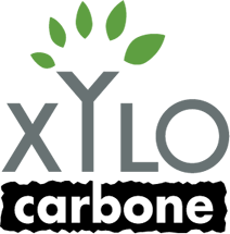 Denis Labrie- Créateur Web