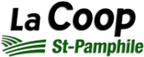 Denis Labrie- Créateur Web