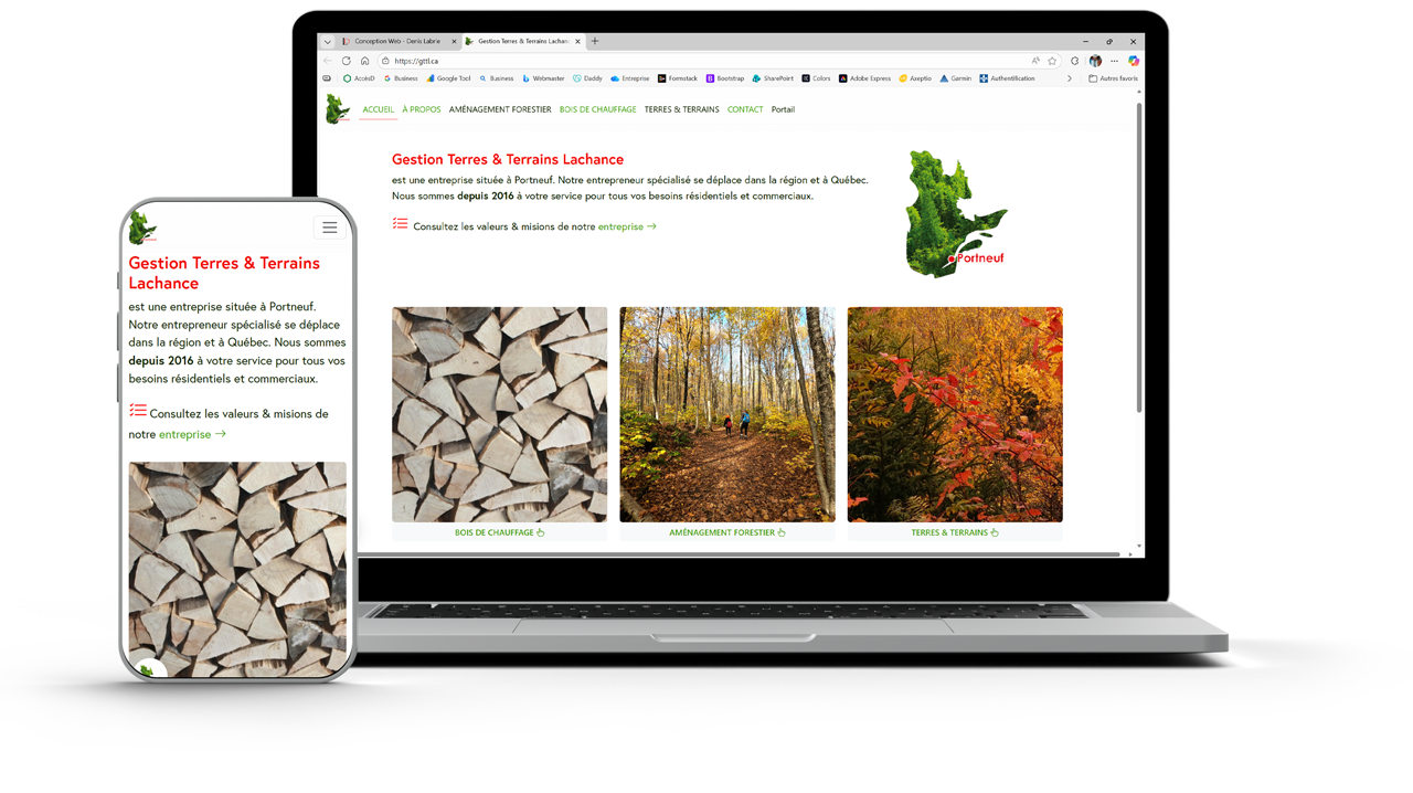 Denis Labrie - Concepteur Web